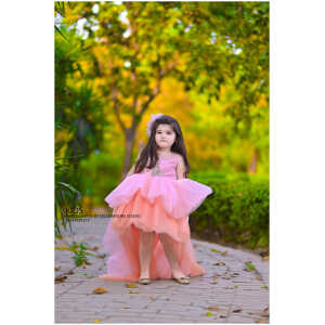 Blush Pinkish dress