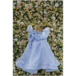 Crystal Bloom Cinderella Dress