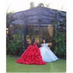 Scarlet Bloom in elsa - Image 6