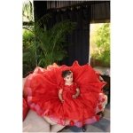 Tulle Princess Gown in Red - Image 3