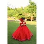 Tulle Princess Gown in Red - Image 4