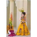 Rang e Mahal in yellow - Image 7