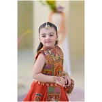 Rang e Mahal in orange - Image 8