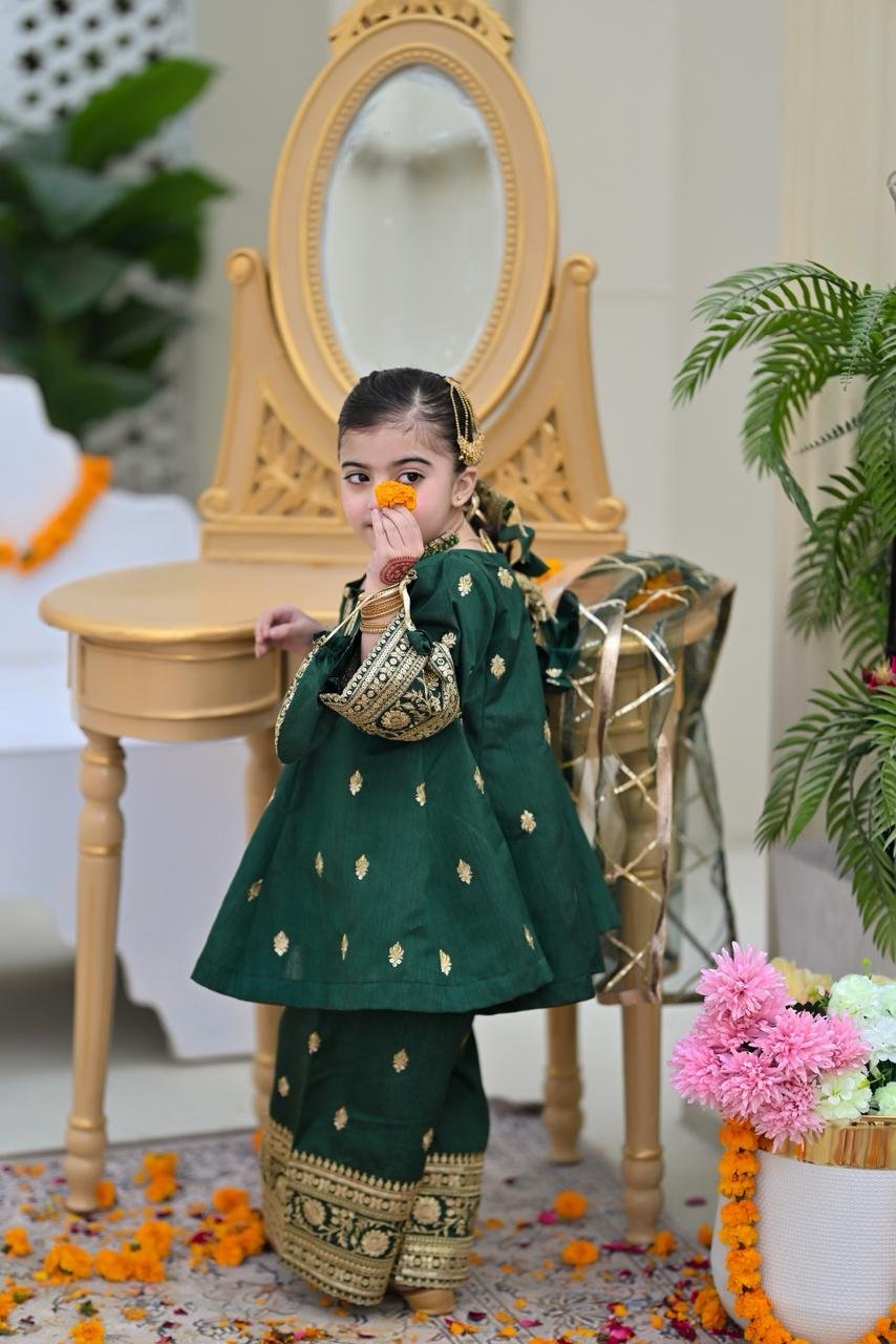 WhatsApp Image 2026-02-09 at 12.49.36 PM (2) Green Rewiyaat - Image 1