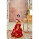 Reddish rang mahal - Image 3