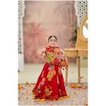 Reddish rang mahal - Image 7