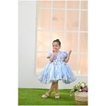 Bluebell Fairy Dress - Image 7