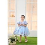 Bluebell Fairy Dress - Image 5
