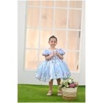 Bluebell Fairy Dress - Image 4