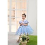 Bluebell Fairy Dress