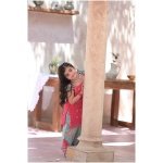 Gulabi bahaar - Image 5