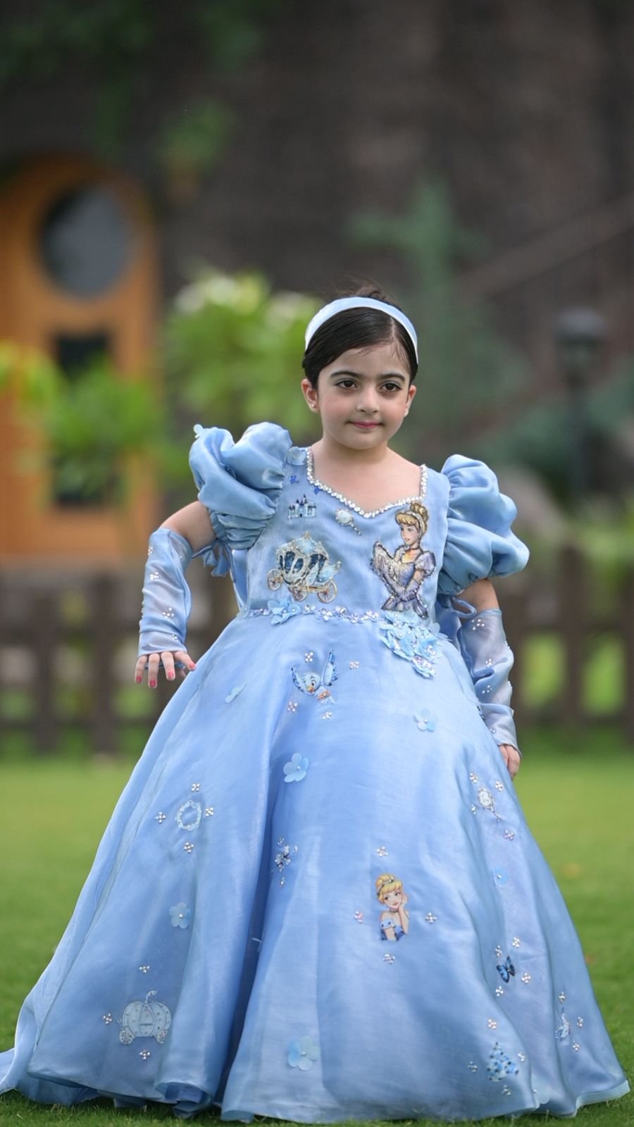 Cinderella princess gown (1) Cinderella Princess Gown - Image 1