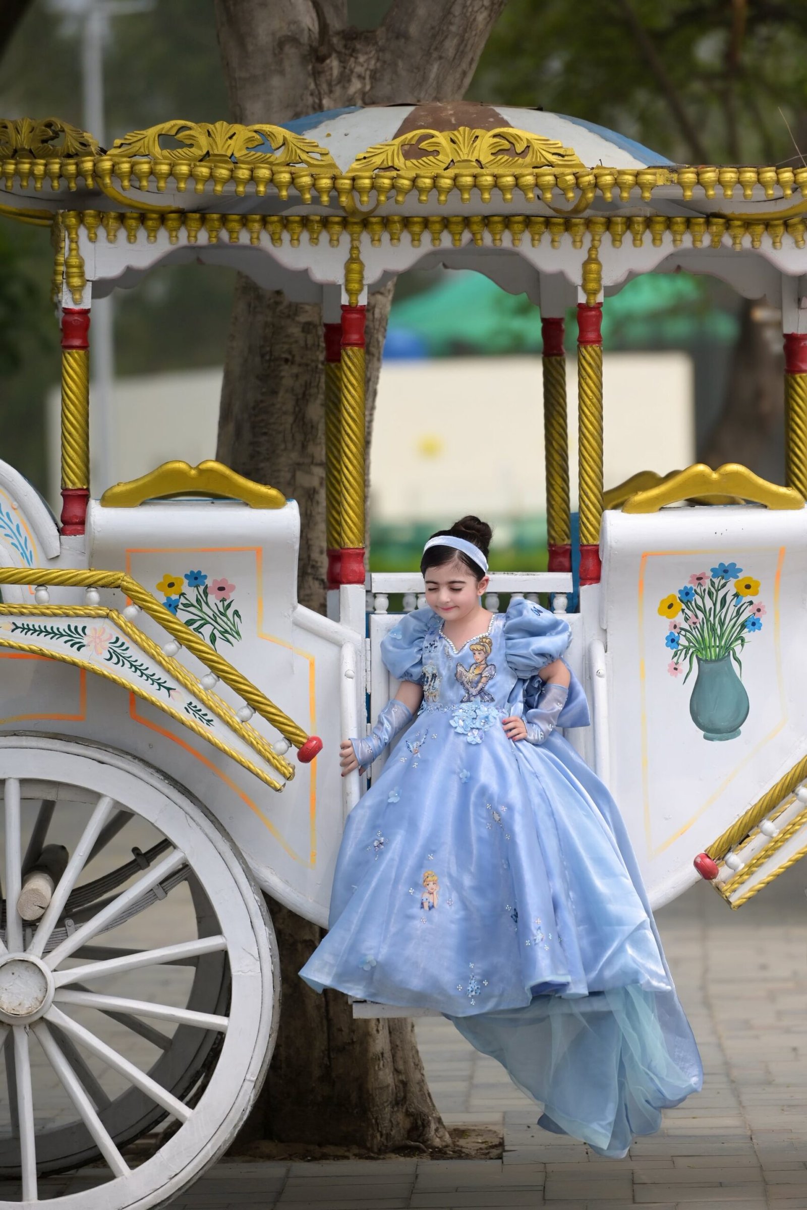 Cinderella Princess Gown