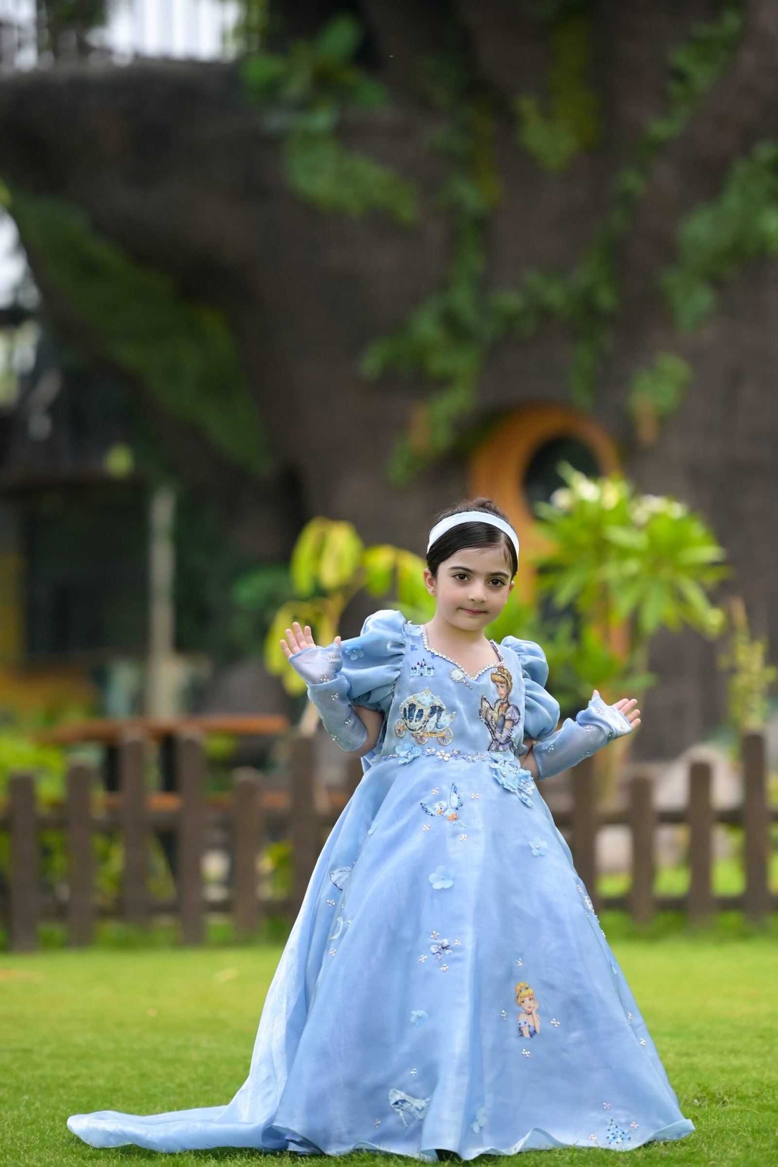 Cinderella Princess Gown
