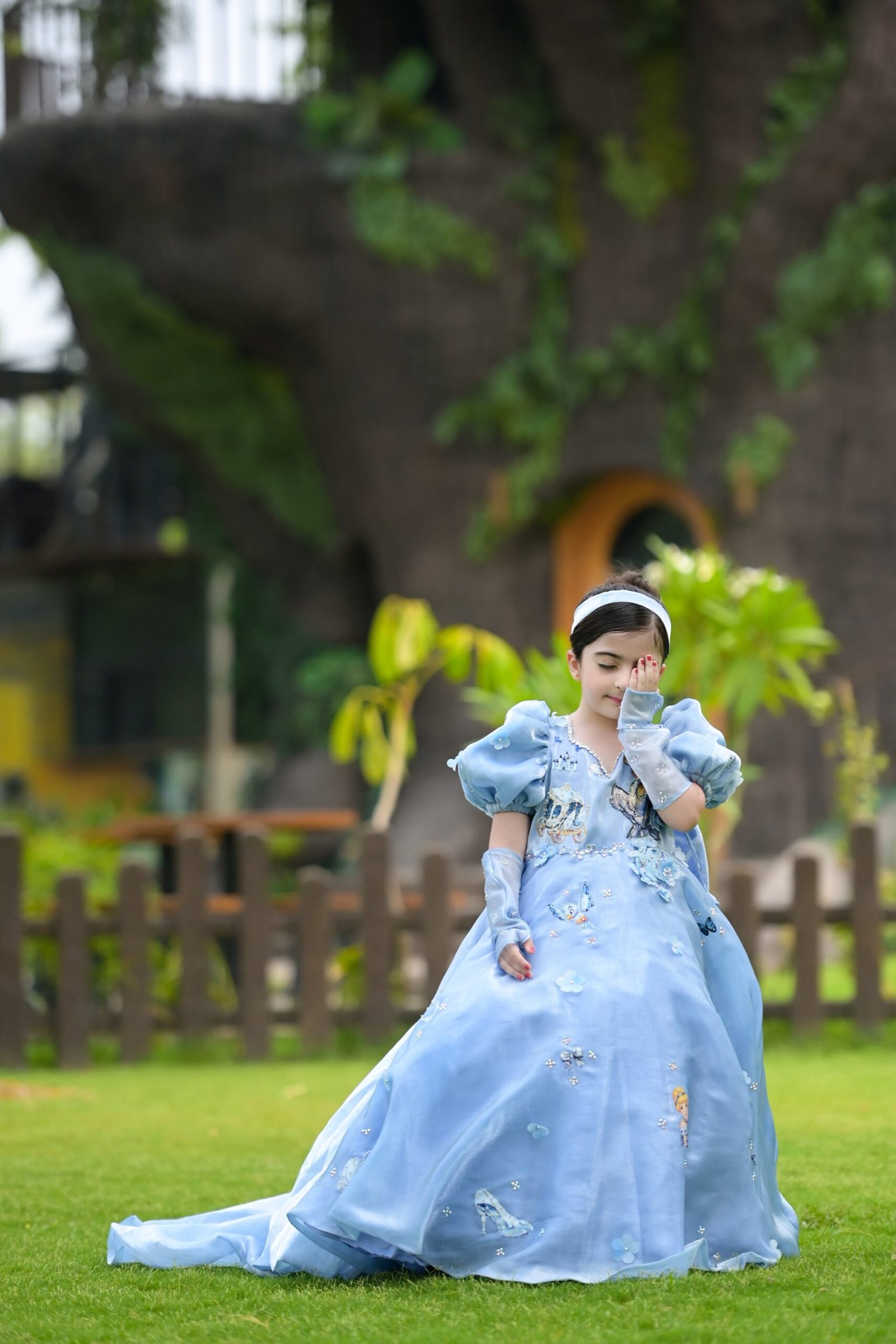 Cinderella Princess Gown