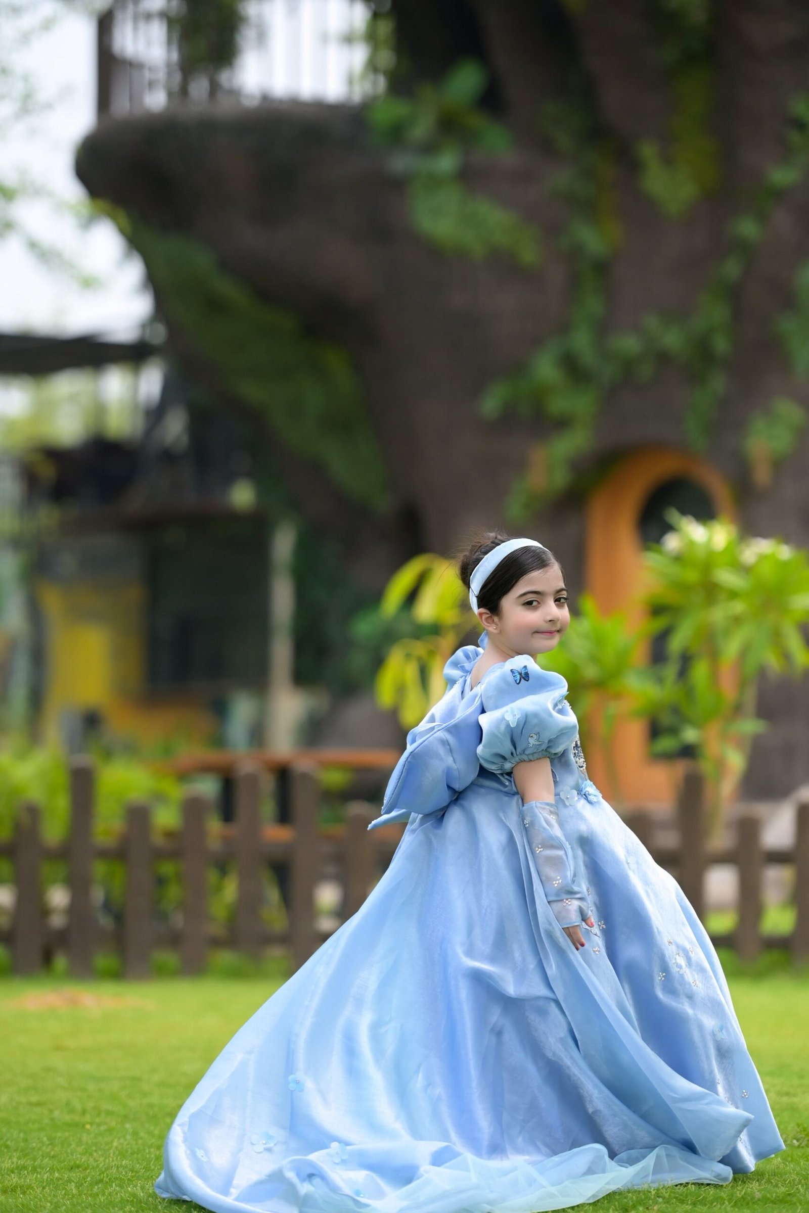 Cinderella Princess Gown