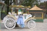 Cinderella Princess Gown - Image 7