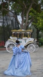 Cinderella Princess Gown - Image 6