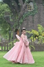 Pink Fairy - Image 2