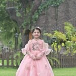 Pink Fairy