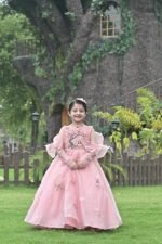 Pink Fairy